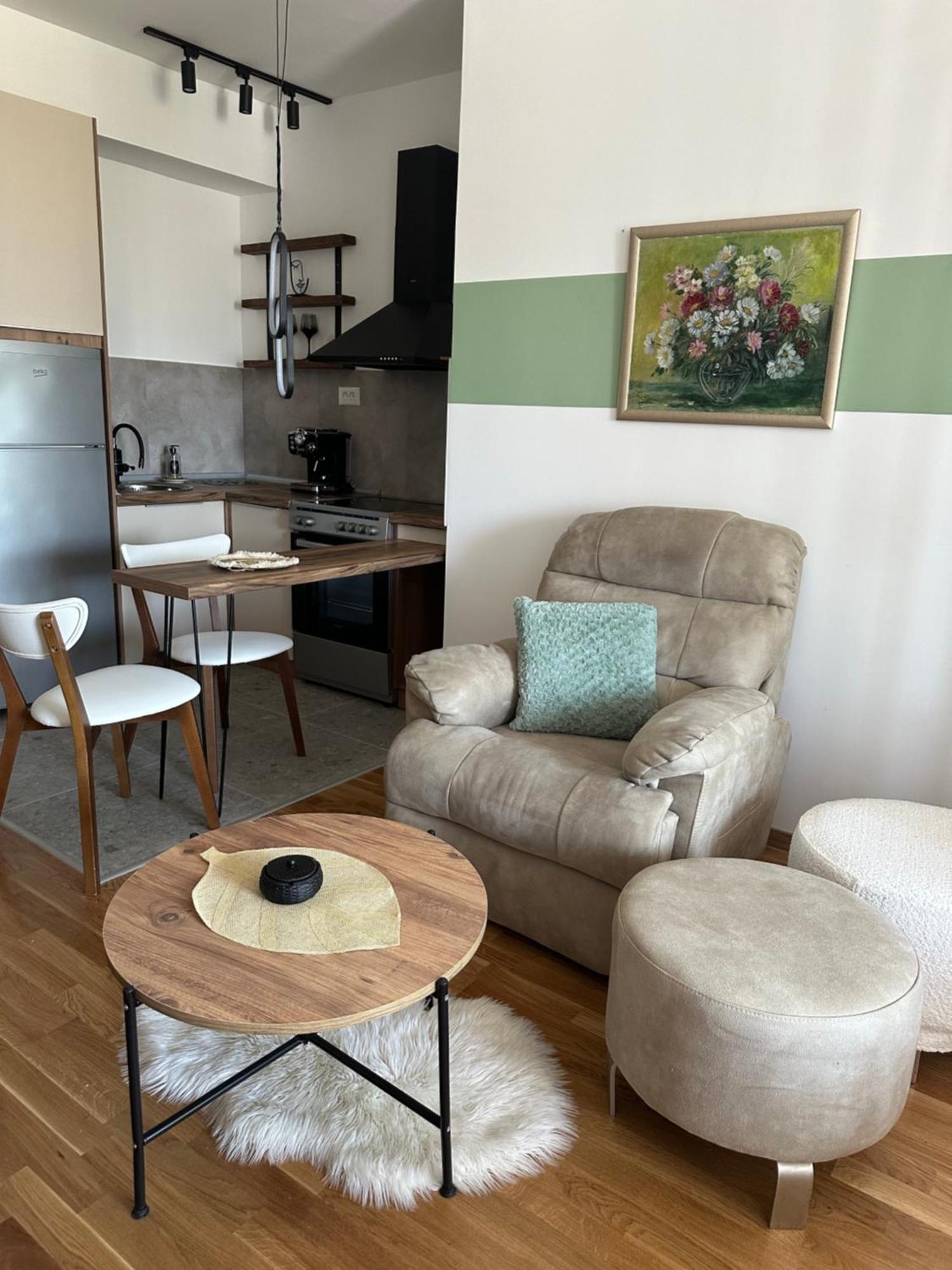 סקופיה Apartments Jana מראה חיצוני תמונה